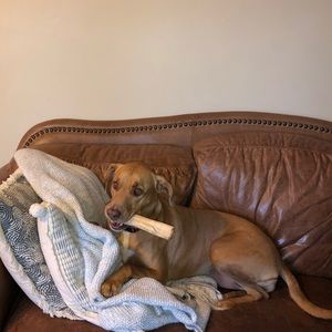 Meet your Posher, Jodi